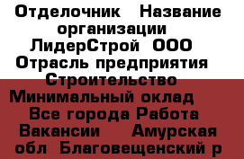 Отделочник › Название организации ­ ЛидерСтрой, ООО › Отрасль предприятия ­ Строительство › Минимальный оклад ­ 1 - Все города Работа » Вакансии   . Амурская обл.,Благовещенский р-н